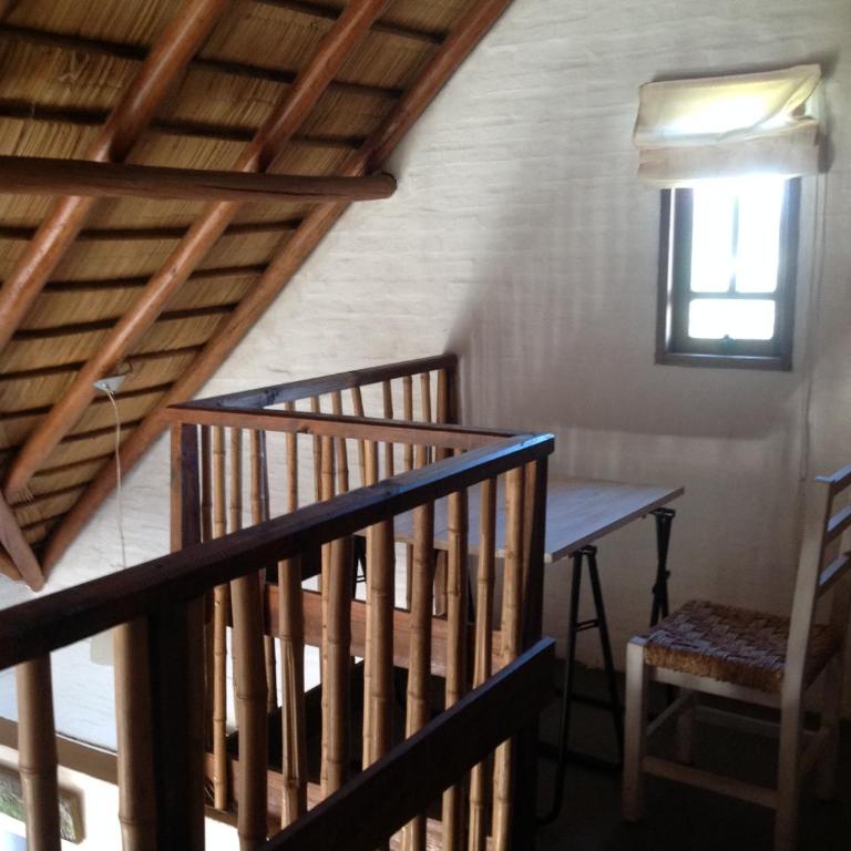 Coco Loco Lodge - Bungalow (6 adultos) - 16