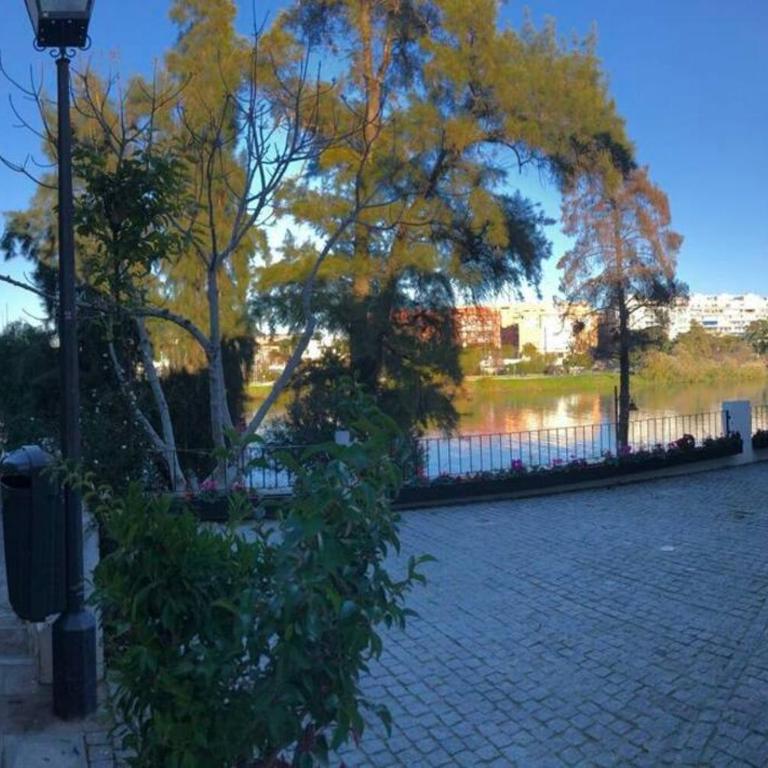 Disfruta Sevilla desde Triana junto al río - Apartamento de 2 dormitorios - 17
