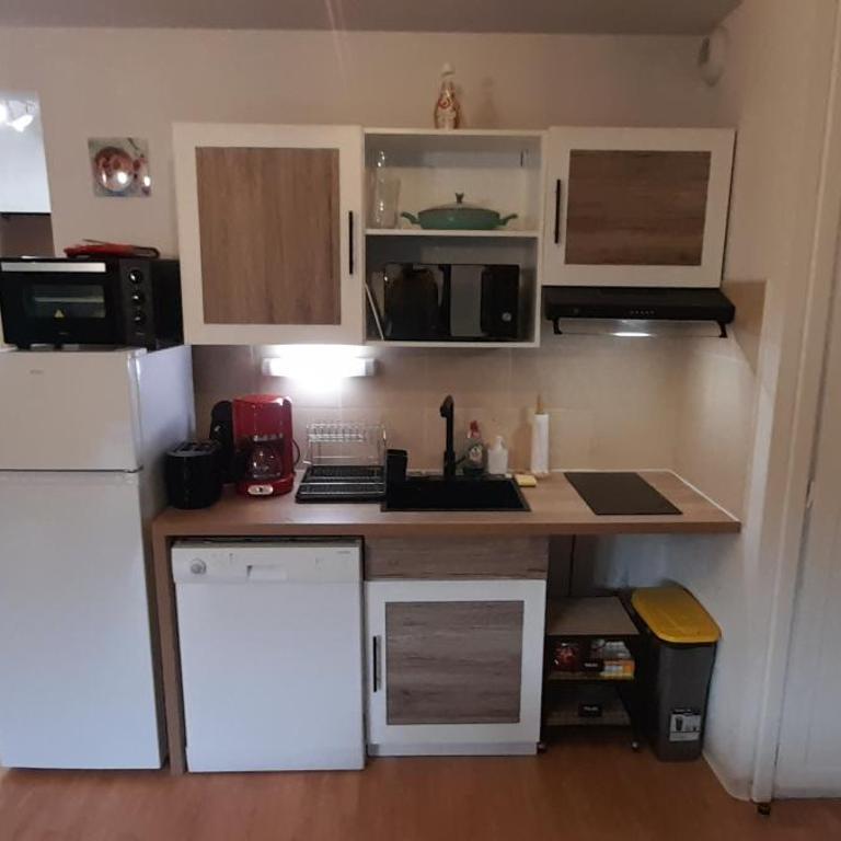 Appartement de l'Isard Bleu, dans résidence de tourisme 3 étoiles - Apartamento de 1 dormitorio - 14