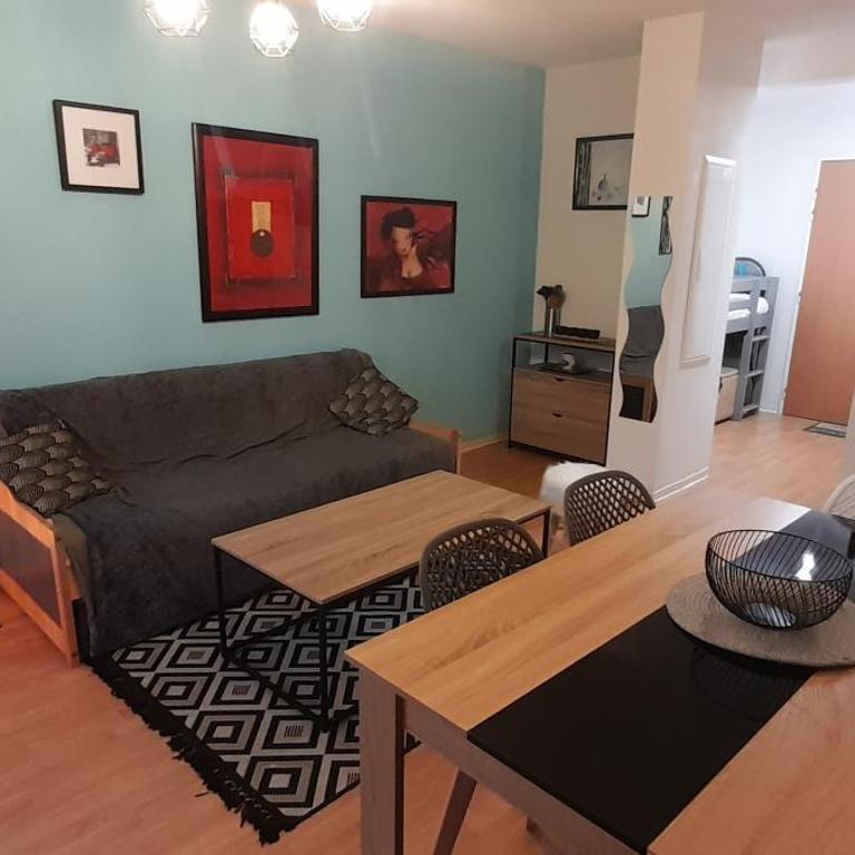 Appartement de l'Isard Bleu, dans résidence de tourisme 3 étoiles - Apartamento de 1 dormitorio - 5