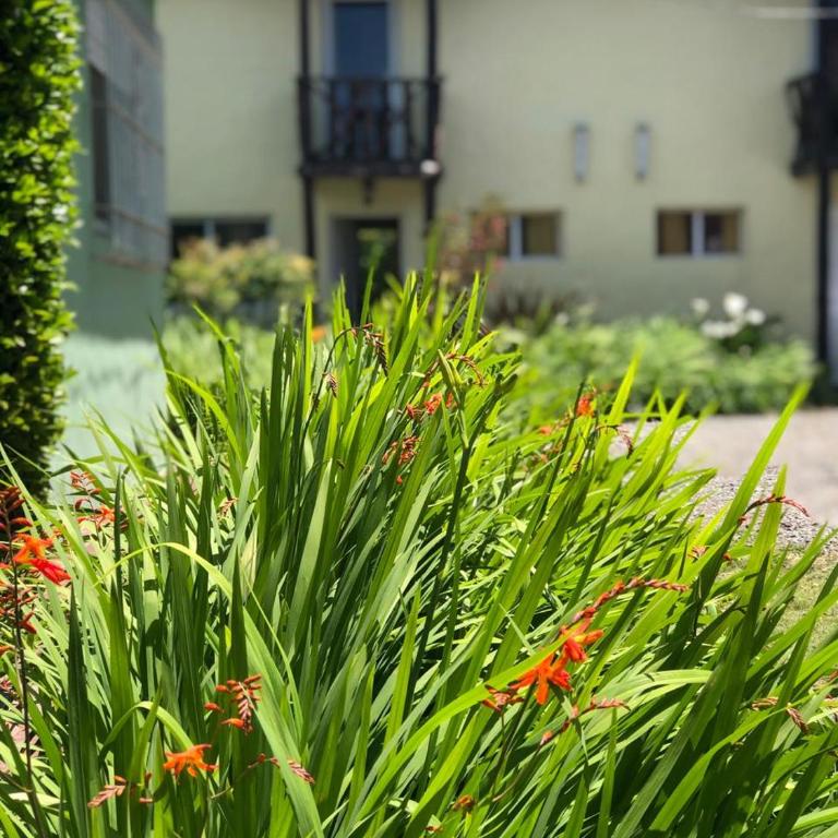 Departamentos Serranos en Tandil - Apartamento de 2 dormitorios - 9
