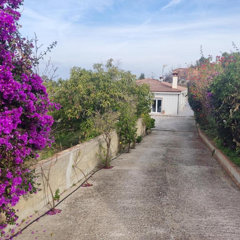 Finca Vista El Montanes - Villa con piscina privada - 94
