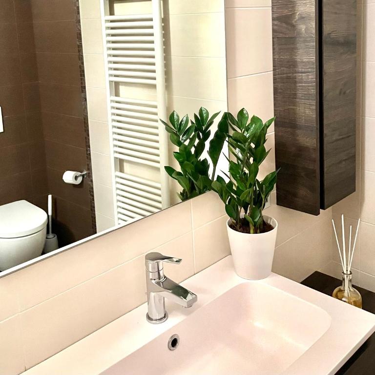 Magnolia Home - Piazza delle Erbe - One-Bedroom Apartment - 13