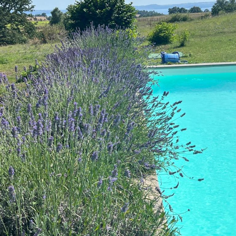 Panoramic villa with pool-COLLINABLU - Villa con Piscina Privata - 67