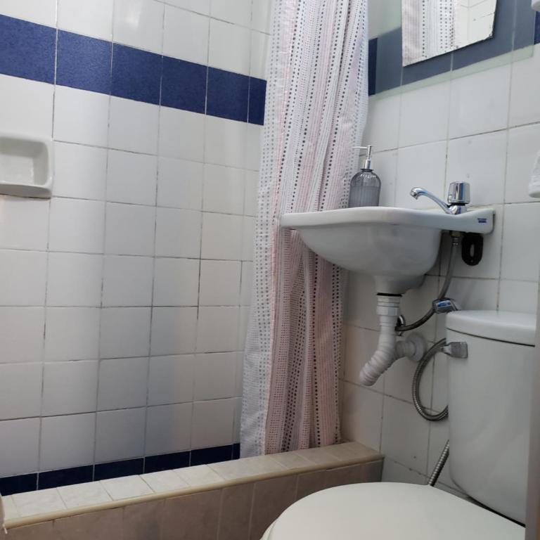 Centric, private, petfriendly apartments in Miraflores - Superior Studio - 6