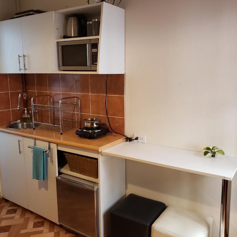 Centric, private, petfriendly apartments in Miraflores - Superior Studio - 9