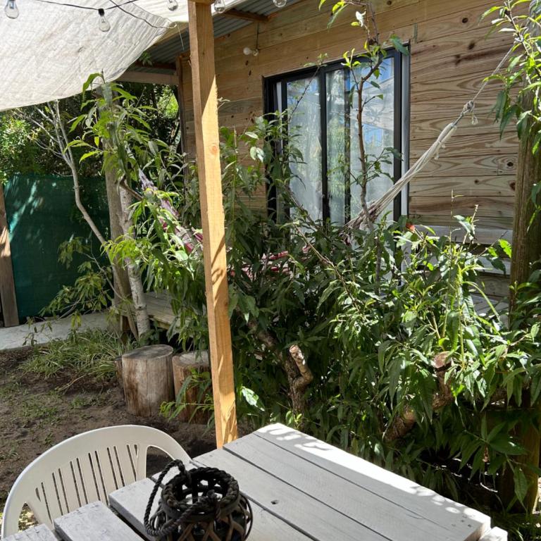Lunas del Bosque Cabaña y apartamento en suite - Apartamento Estudio - 8