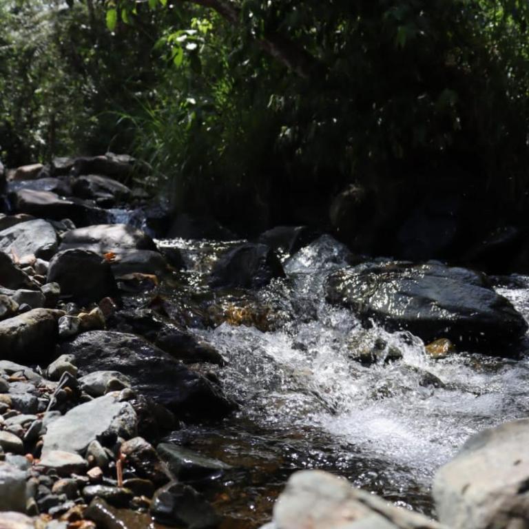 Sapiens house"la Gallita de roca" - Double Room with Mountain View - 4