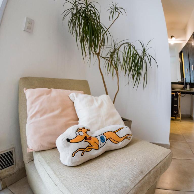 Hermoso Depto en B° Gral Paz - Apartamento de 1 dormitorio - 12