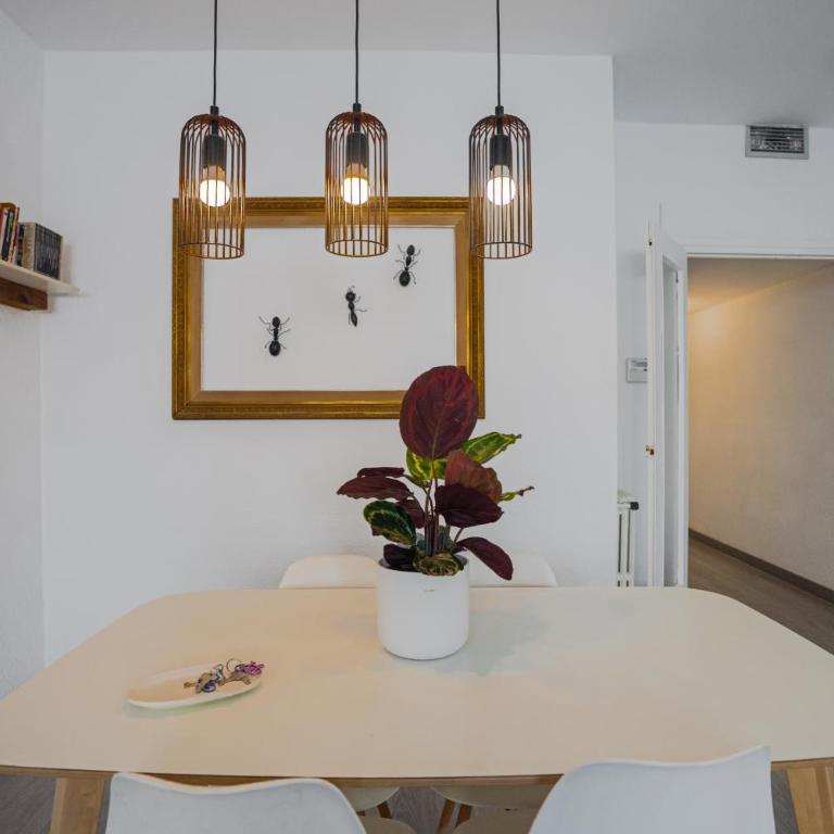 Flat Top Manager - Deluxe Apartment - 2