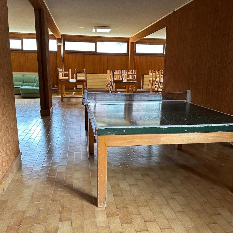 Appartement Les Chalmettes 4 Personnes au pied des Pistes Wifi - Balcon - Parking - Studio - 44