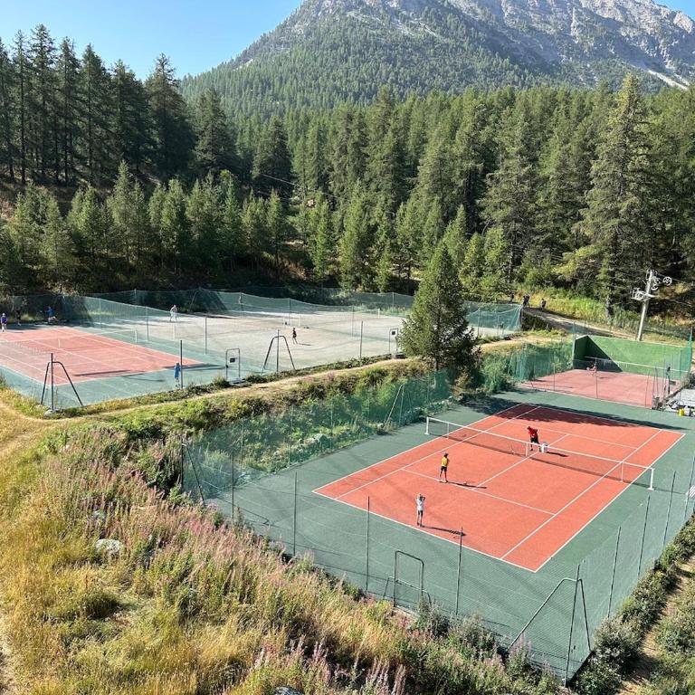 Appartement Les Chalmettes 4 Personnes au pied des Pistes Wifi - Balcon - Parking - Studio - 69