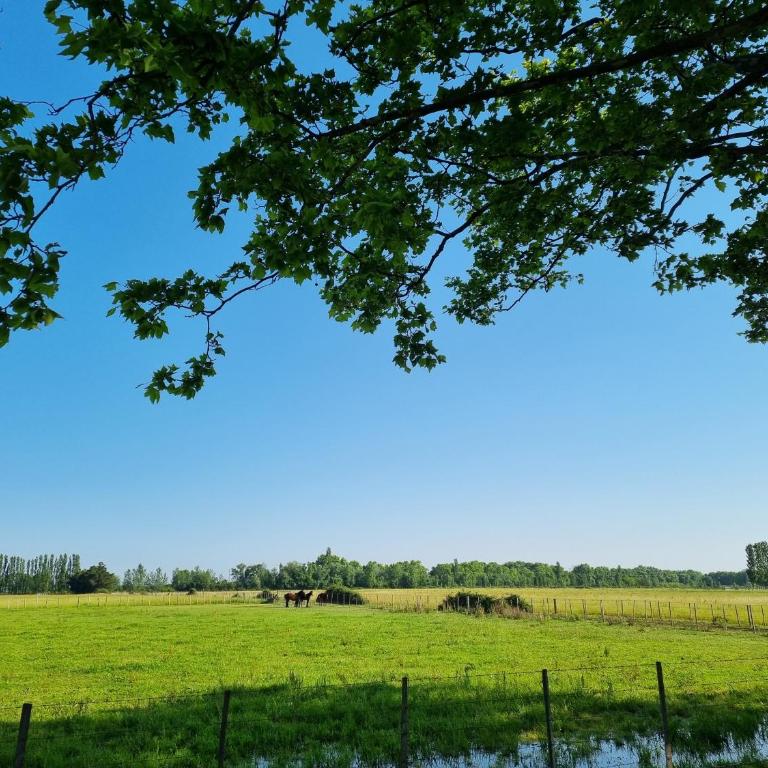 Domaine de la Tapie de Bouchet - en Camargue - Villa 3 Chambres - 25