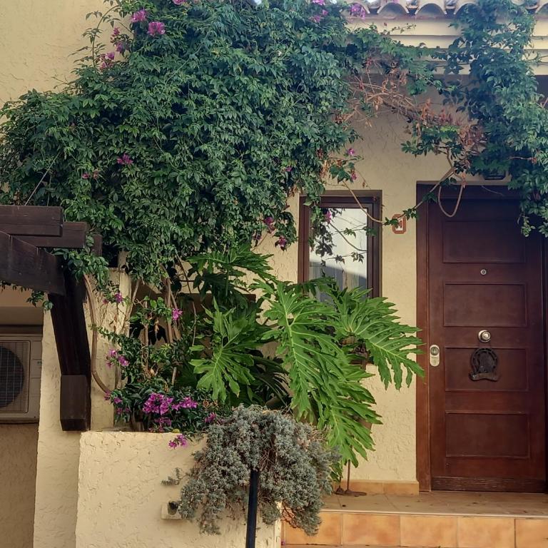 Townhouse Los Olivos M - Casa Unifamiliar de 3 dormitorios - 28