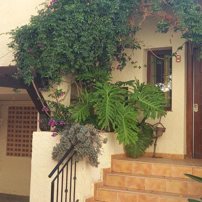 Townhouse Los Olivos M - Casa Unifamiliar de 3 dormitorios - 27
