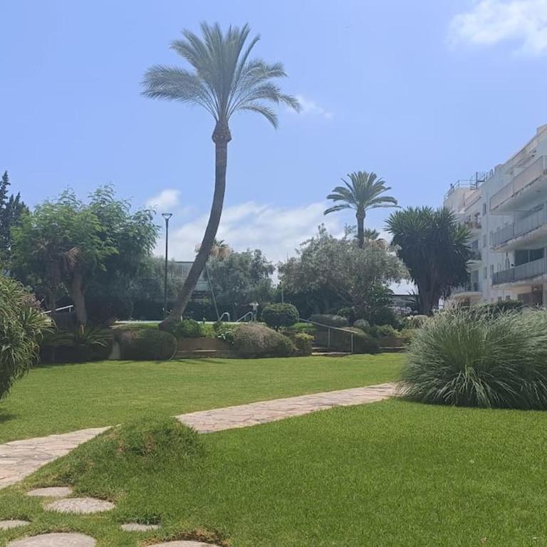 Apartamento 1ª línea de playa - Apartamento de 3 dormitorios - 17