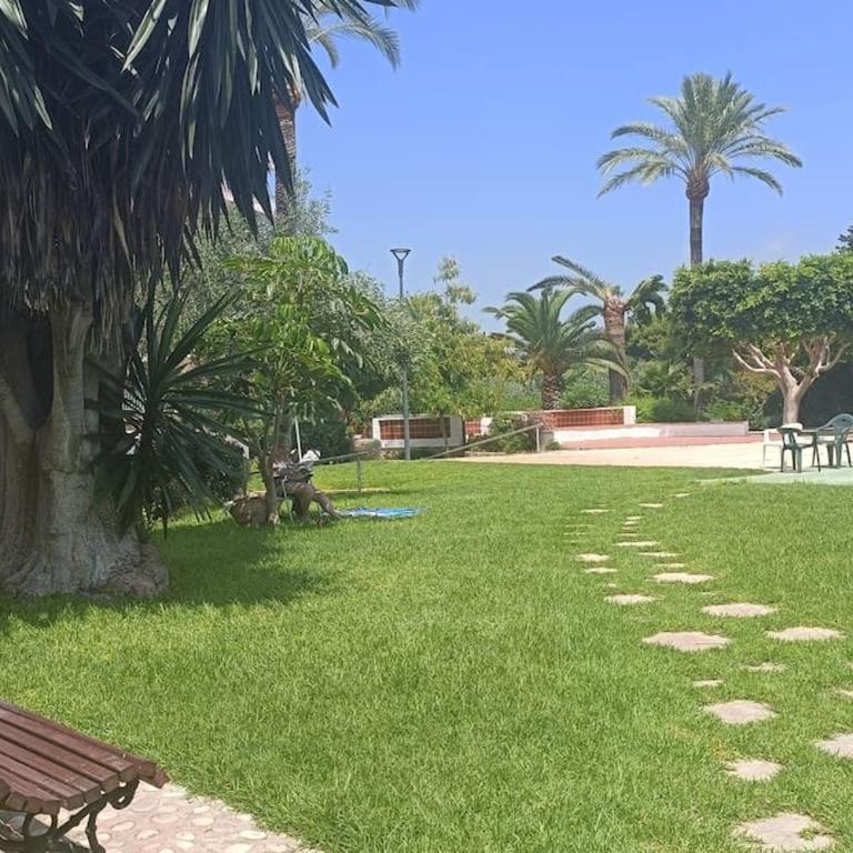 Apartamento 1ª línea de playa - Apartamento de 3 dormitorios - 31