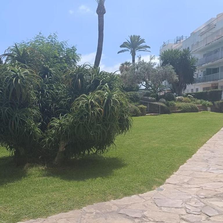 Apartamento 1ª línea de playa - Apartamento de 3 dormitorios - 34