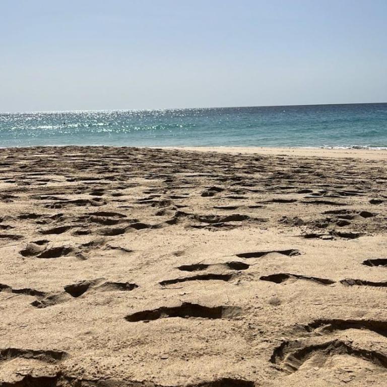 Blue Ocean Morro Jable - Apartamento de 1 dormitorio - 16