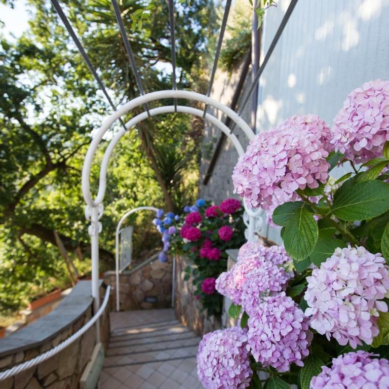 Residence Le Terrazze - Monolocale con Balcone e Vista Mare (2 Adulti) - 53