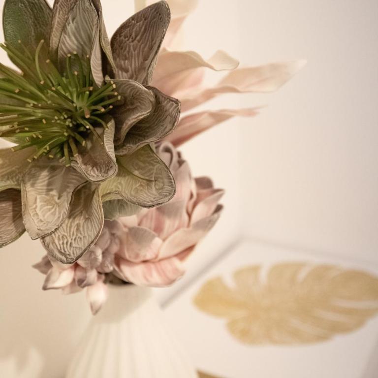 Molumy Apartment - Apartman sa 1 Spavaćom Sobom - 5