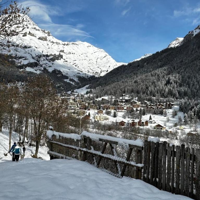 Wohnungen Matterhorn & Aletschhorn im Valere B Leukerbad - Studio mit Bergblick - 18