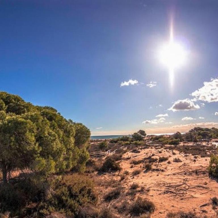 Mediterraneamente soleado - Apartamento de 2 dormitorios - 56