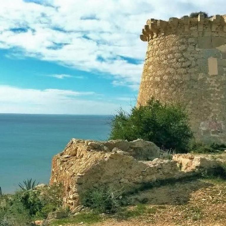 Mediterraneamente soleado - Apartamento de 2 dormitorios - 51