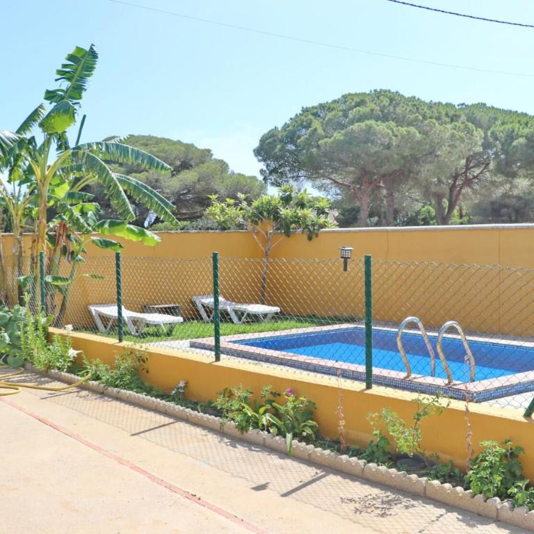 Chalet Pilahito - Casa - 14