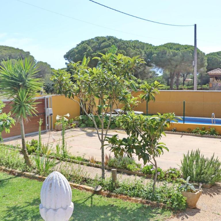 Chalet Pilahito - Casa - 12