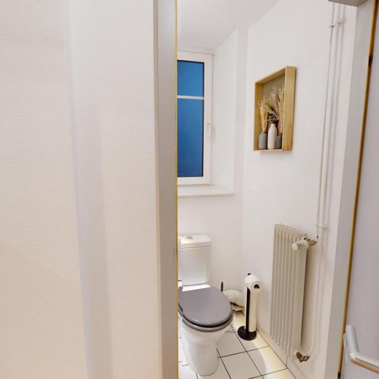 Bail Mobilité Rue du 22 Novembre - Two-Bedroom Apartment - 14