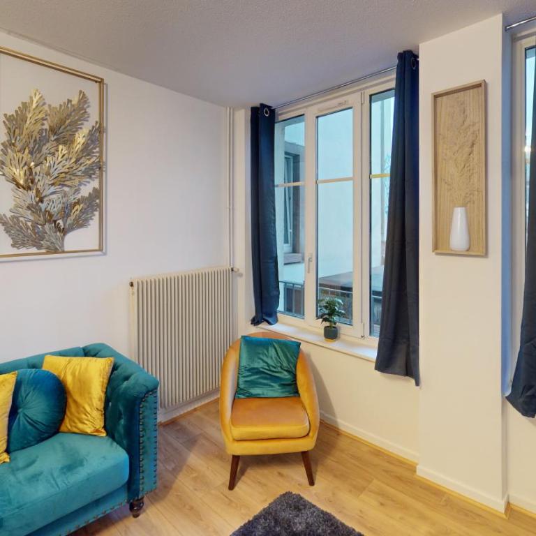 Bail Mobilité Rue du 22 Novembre - Two-Bedroom Apartment - 12