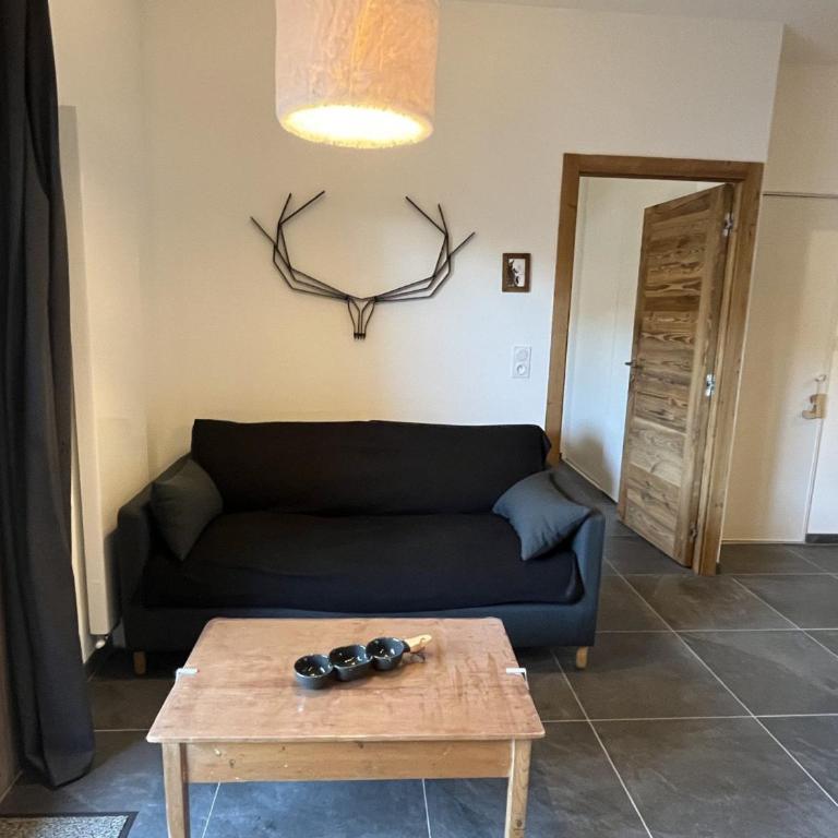 Bel appartement 2 pièces, vue vallée, Châtel, 4 pers - FR-1-198-261 - Apartamento - 6
