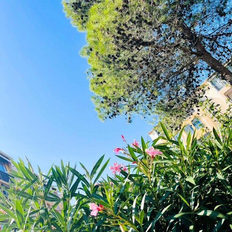 Soleil de Fréjus au Lagonbleu - Appartamento con 1 Camera da Letto - 9