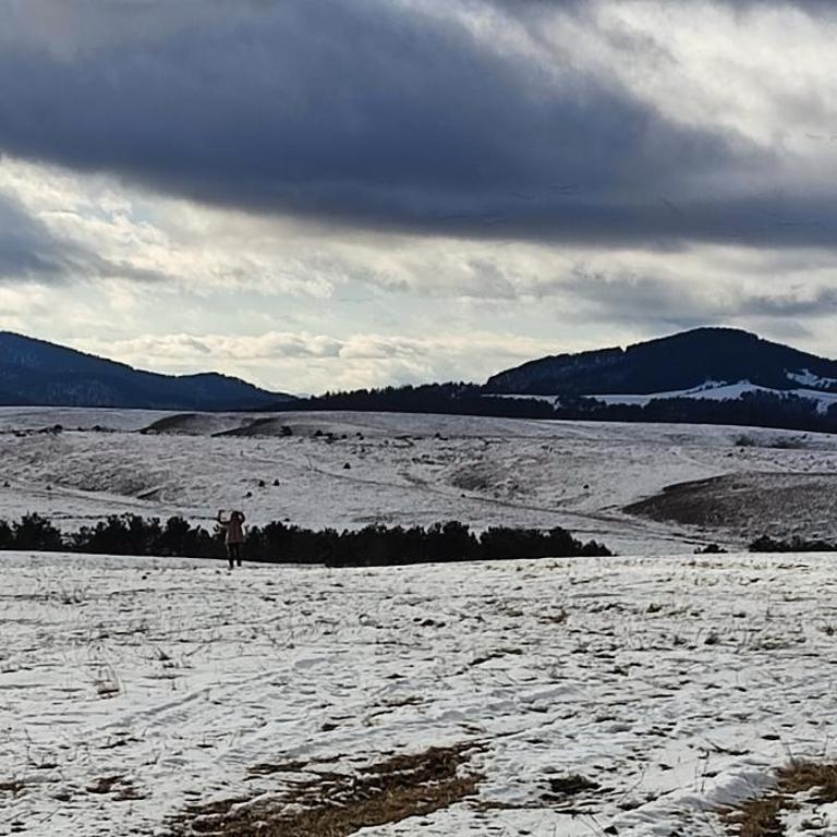 West 37 Zlatibor - Apartman sa 1 Spavaćom Sobom - 19