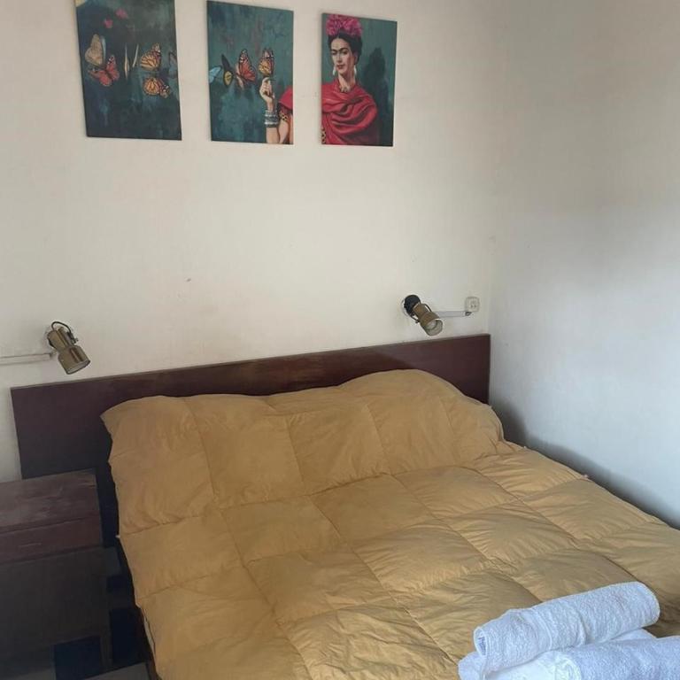 Alojamiento Manotas - One-Bedroom House - 10
