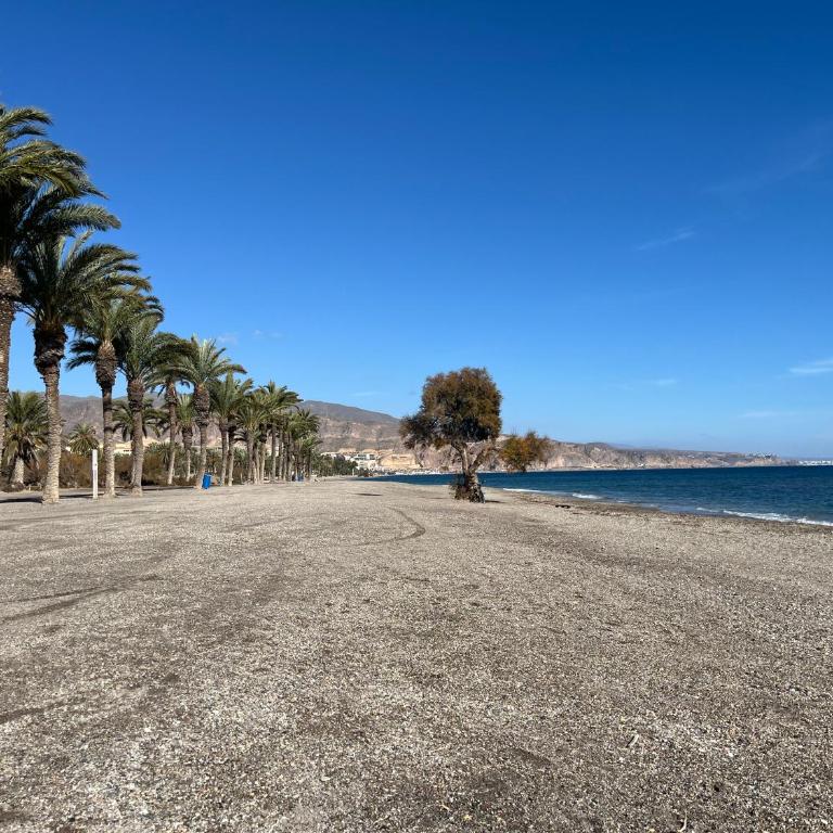 Apartamento en Roquetas de Mar. - Apartamento de 2 dormitorios - 15