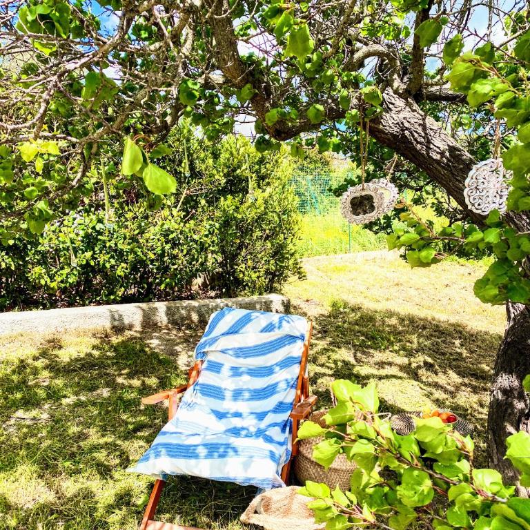 Trulli and Pool - I Cactus - Two-Bedroom House - 19