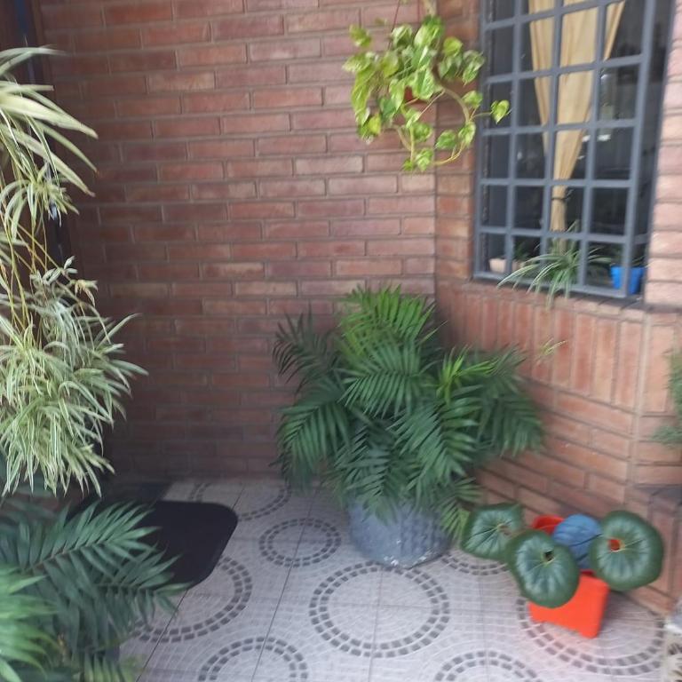 Departamento interno con dos camas individuales - Apartamento de 1 dormitorio - 11