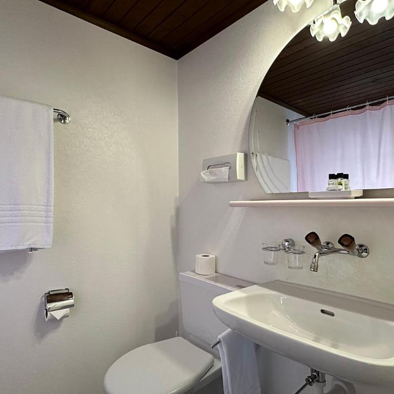 Hotel Chalet Swiss - Standard Doppel- oder Zweibettzimmer - 4