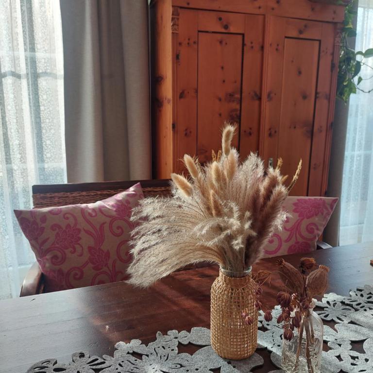 Appartements Resch - Apartment mit Blick auf die Berge - 35