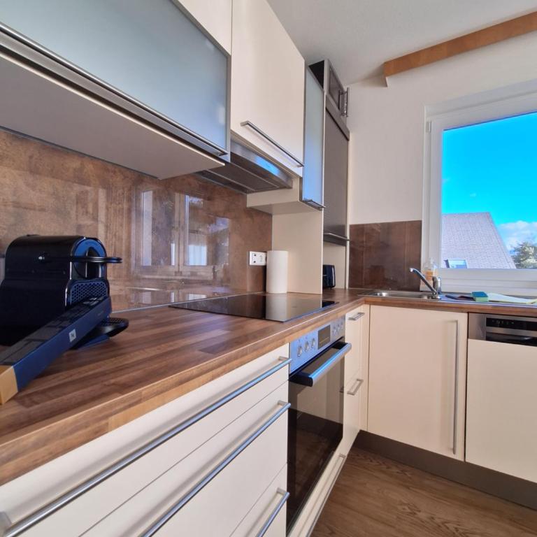 Die Schladmingerin - Apartment mit 3 Schlafzimmern und Balkon - 1