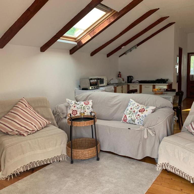 Villa Petrana - Studio Apartman sa Pogledom na More - 19