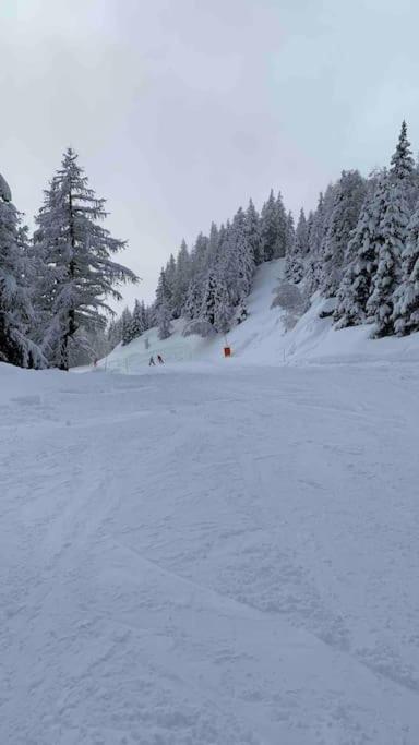 Apartement vue Monblanc incroyable ski inout Prarion5 - Studio - 23