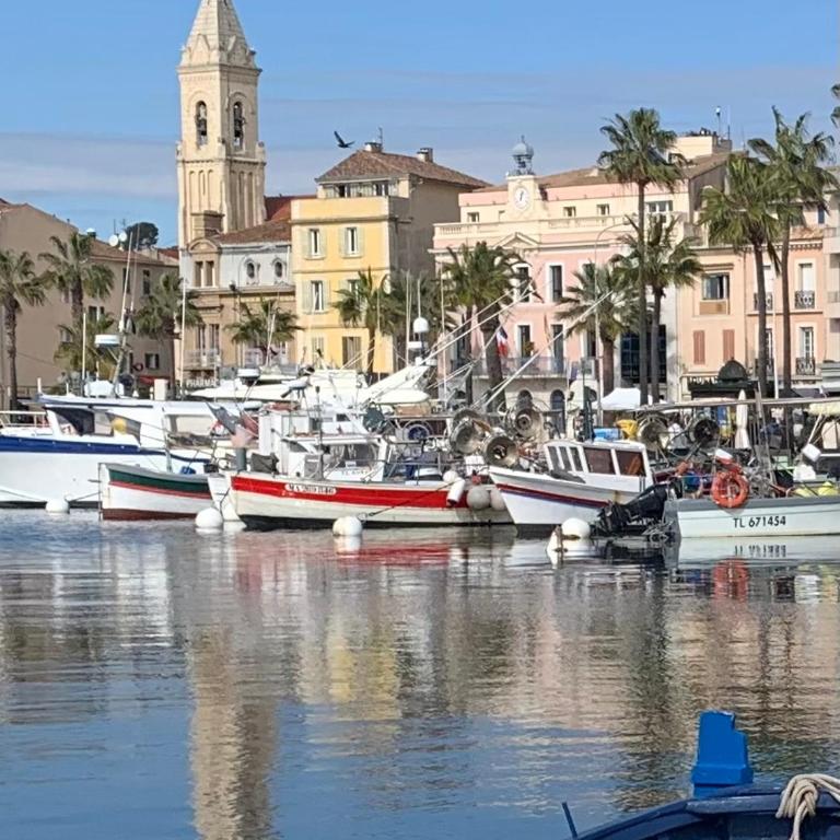 l'appart de la mer Sanary, confort absolu, tout à pied, port, plage, clim et garage privé - Apartamento de 1 dormitorio - 28