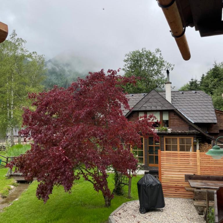Ferienhaus Werkstattl Rassis Feriendorf Donnersbachwald - Apartment mit 2 Schlafzimmern - 29