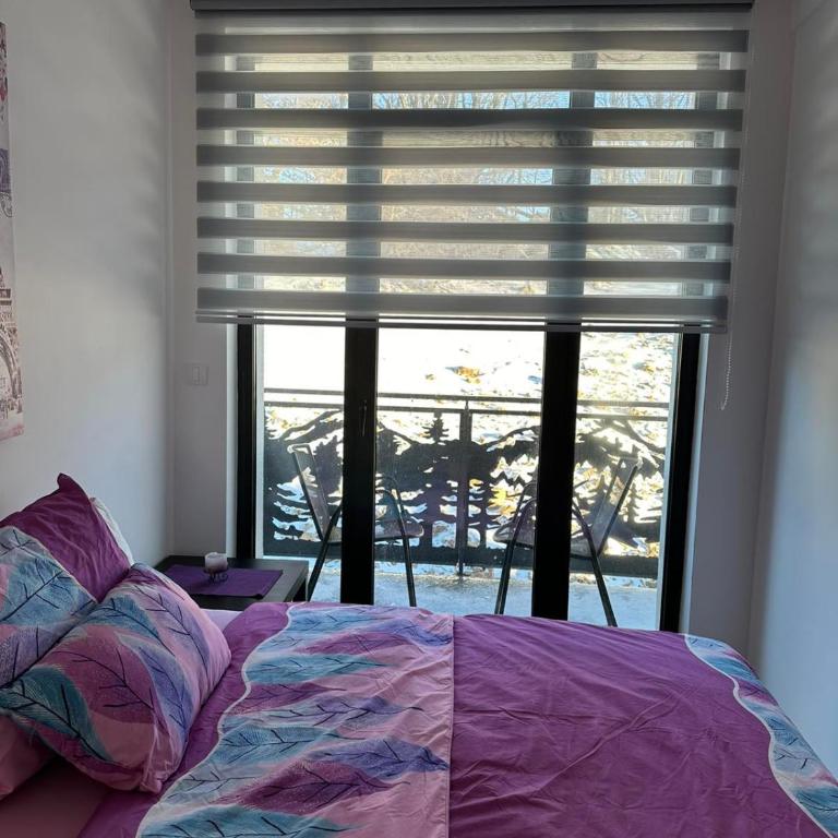 Apartmani Liman Kopaonik - Apartman sa 1 Spavaćom Sobom - 4