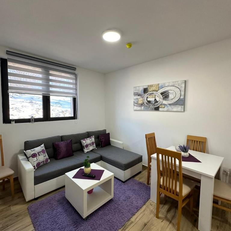 Apartmani Liman Kopaonik - Apartman sa 1 Spavaćom Sobom - 7