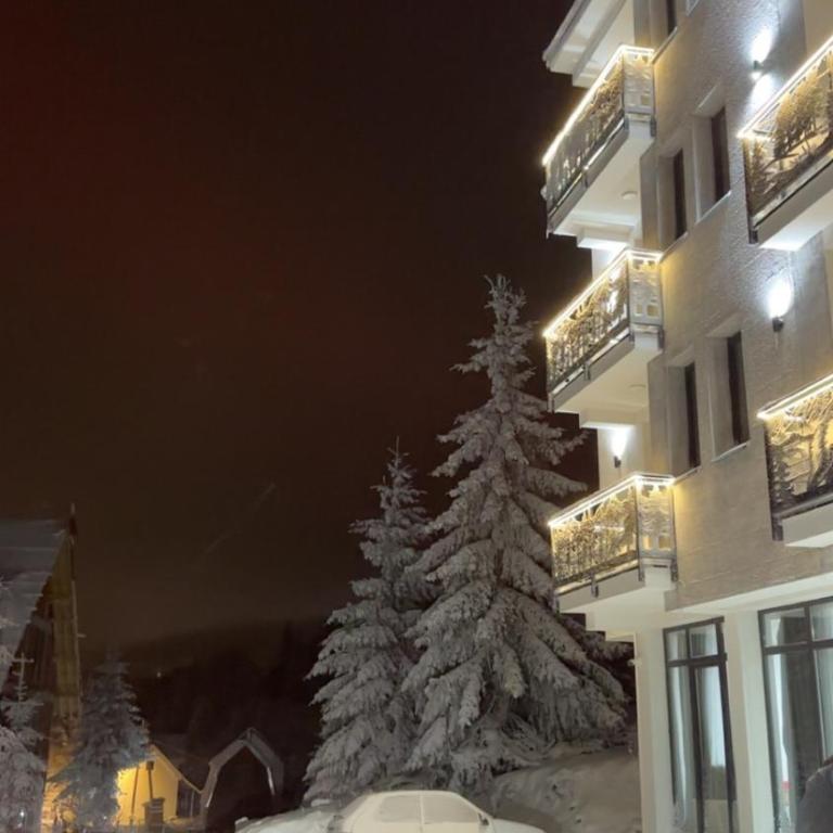 Apartmani Liman Kopaonik - Apartman sa 1 Spavaćom Sobom - 10