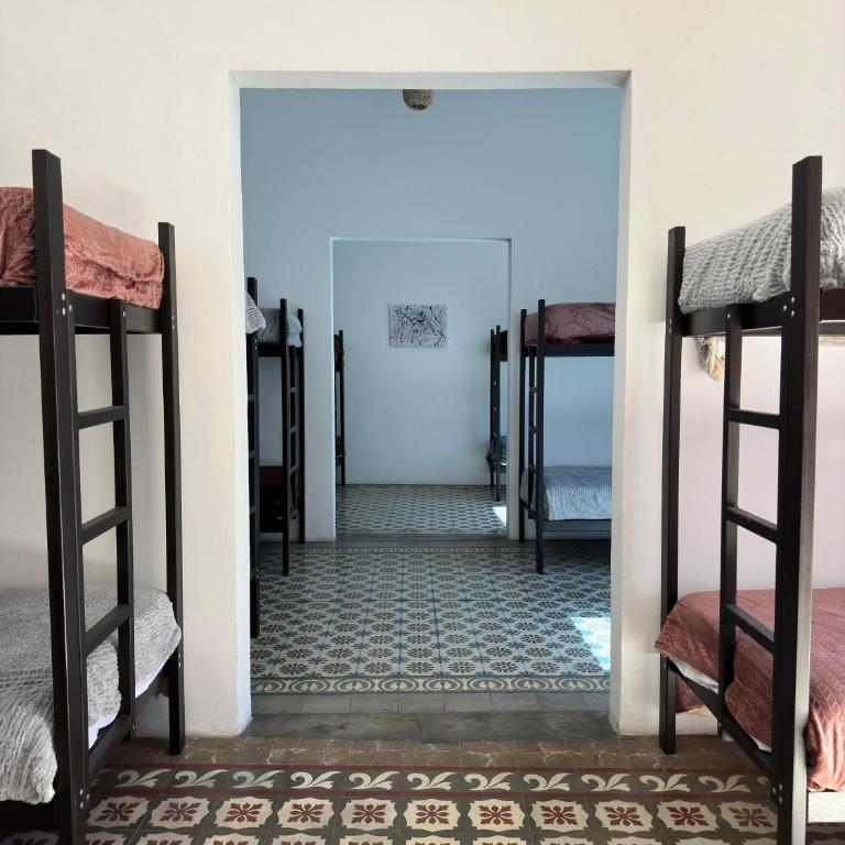 Choco Hostel - Bed in 8-Bed Mixed Dormitory Room - 2
